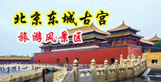 看看骚B喔国产中国北京-东城古宫旅游风景区